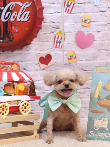 20230930タラくん